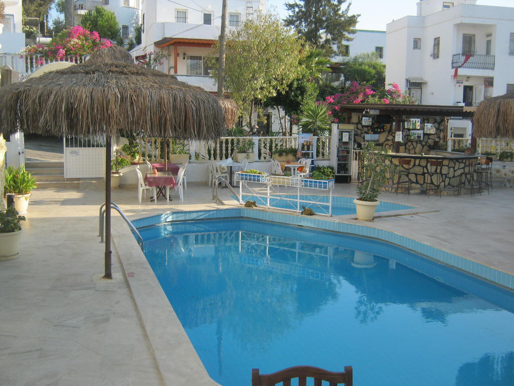 Otel Delfin 3*